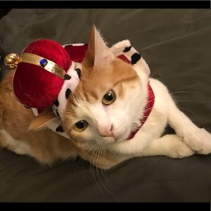 Meet your Posher, Jimmy